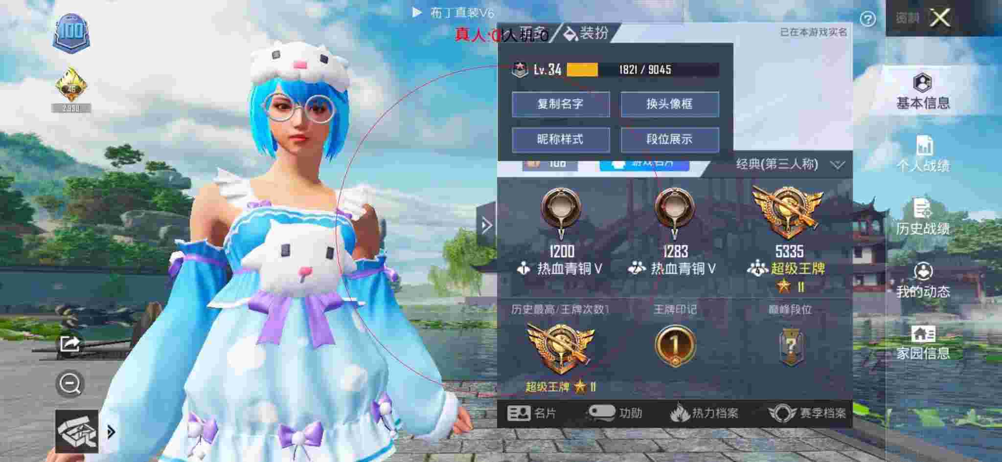 和平精英布丁直装透视 - 和平精英定制科技作者辅助预览图
